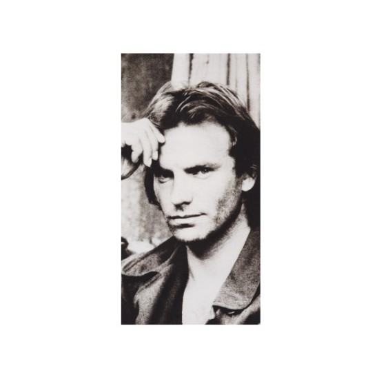 Sting – ...Nothing Like The Sun (2 x Vinyl, LP, Album, Reissue) - Image 2