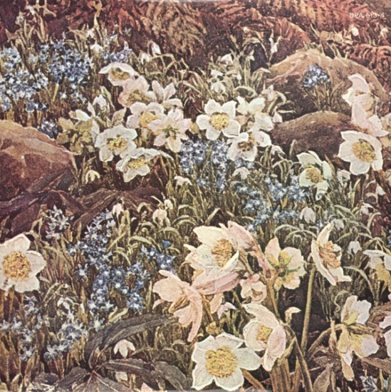 Strauss, Vienna Philharmonic Orchestra - Willi Boskovsky – Favourite Strauss Waltzes (2 x Vinyl, LP, Compilation) - Image 3