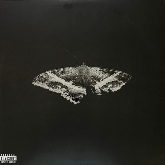Kendrick Lamar – To Pimp A Butterfly (2 x Vinyl, LP, Album)