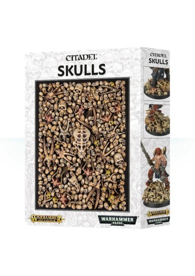 WARHAMMER / AGE OF SIGMAR & 40.000 CITADEL SKULLS