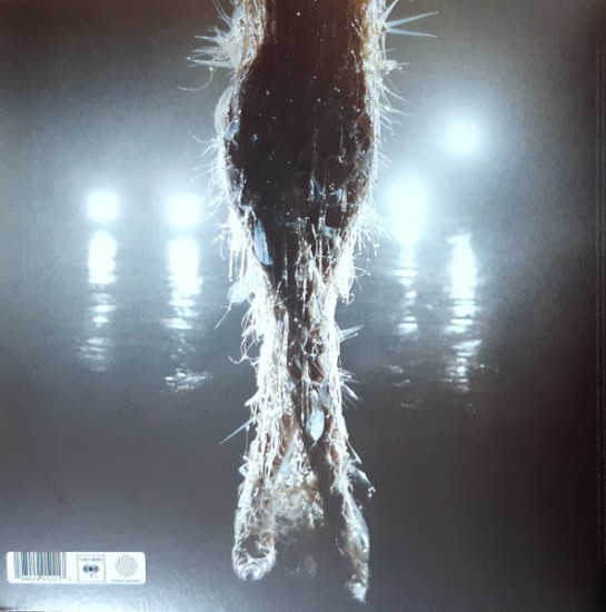 Miley Cyrus – Something Beautiful (Vinyl, LP, Album) - Image 2