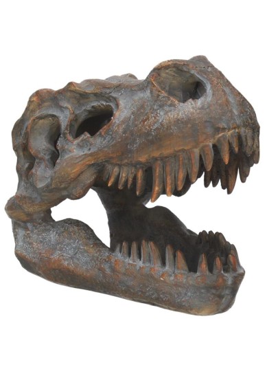 NEMESIS NOW: TYRANNOSAURUS - REX SKULL FREESTANDING (16CM)