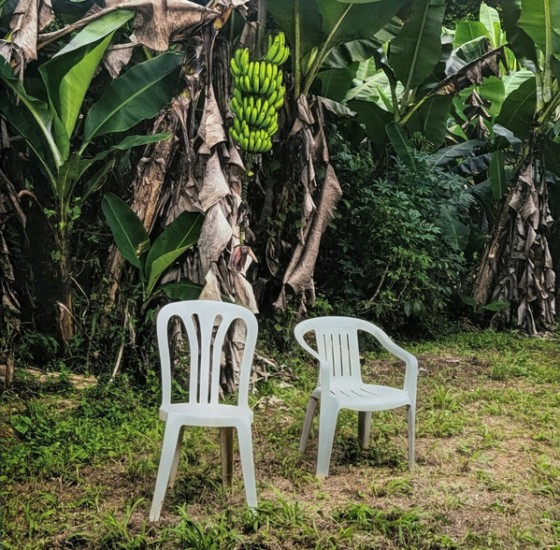 Bad Bunny – Debí Tirar Más Fotos (2 x Vinyl, LP, 45 RPM, Album)