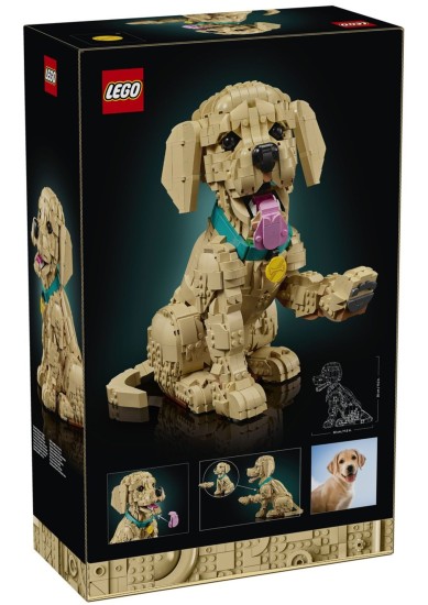 LEGO® ICONS: GOLDEN RETRIEVER PUPPY